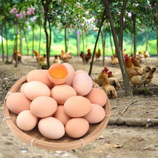 Trứng gà ta nhà quê thả vườn đảm bảo ngon